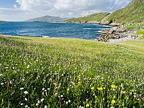 岛,海岸,靠近,特色,外赫布里底群岛,著名,茂密,野花,苏格兰,七月,大幅,尺寸