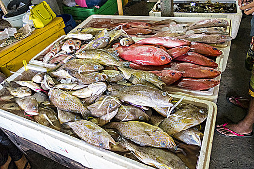 鱼市,金巴兰,巴厘岛,印度尼西亚