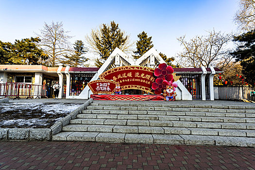 中国长春市儿童公园迎春花展场景
