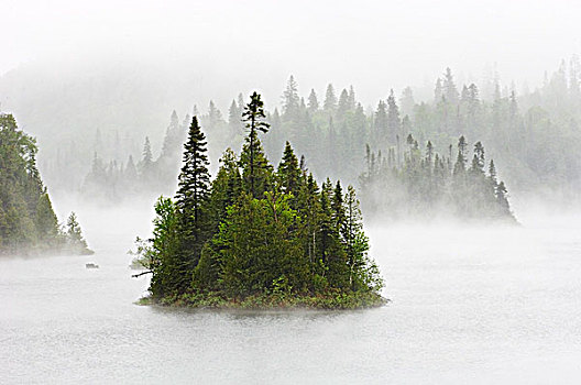 岛屿,湖,雾,雨,省立公园,安大略省,加拿大