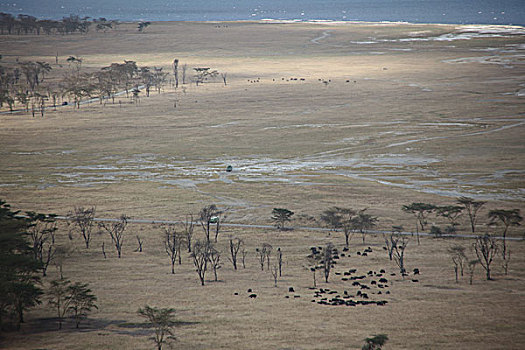 非洲肯尼亚风景