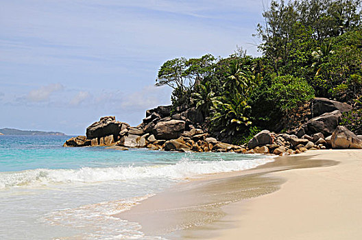 海滩,花冈岩,石头,热带,植被,普拉兰岛,塞舌尔,非洲,印度洋