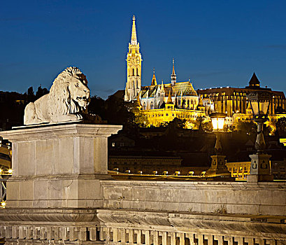 狮子,雕塑,链索桥,马提亚斯教堂,布达佩斯,匈牙利