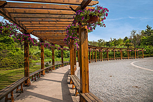 杨州瘦西湖园林花卉长廊
