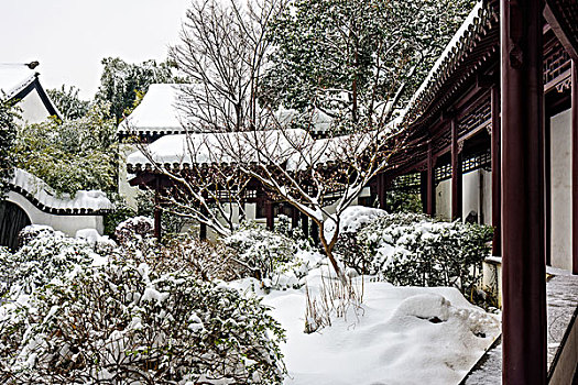 总统府雪景