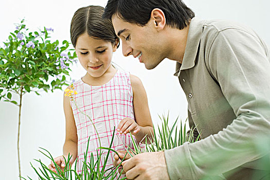 父亲,小女孩,接触,植物,一起
