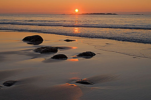 逆光,鹅卵石,太阳,海滩,诺尔兰郡,挪威,欧洲
