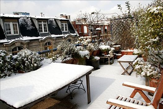 法国,巴黎,积雪,平台,植物