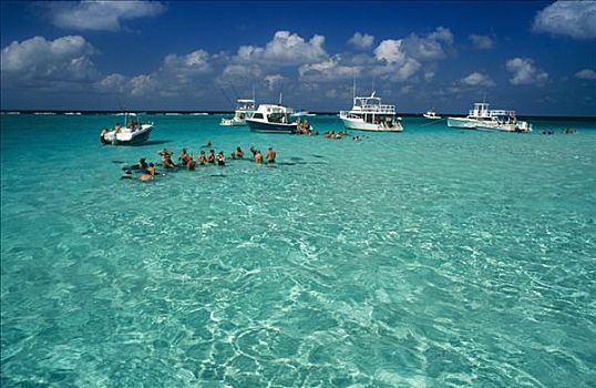 开曼群岛,大开曼岛,度假,出游,喂食,黄貂鱼,礁石