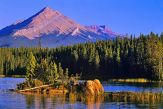 湖,山,背景,无限,链子,山脊,碧玉国家公园,艾伯塔省,加拿大
