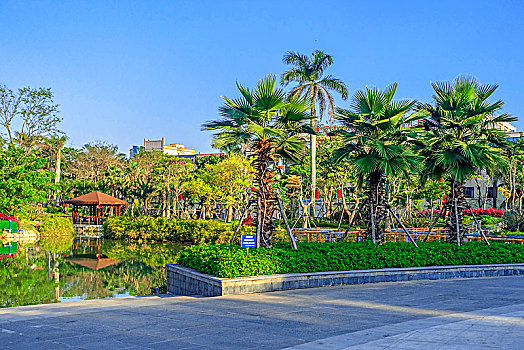海南儋州新市委中湖公园景观