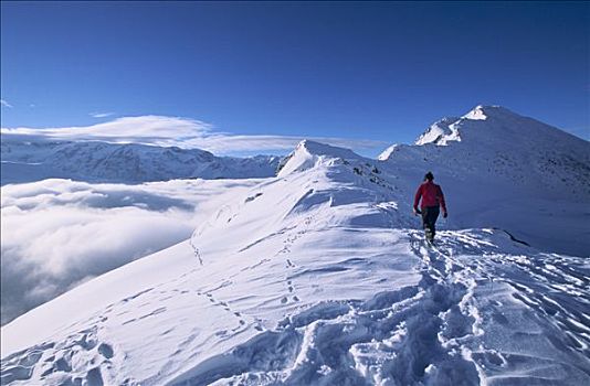 法国,伊泽尔省,山峦,上面,阿普德威兹,滑雪胜地,全景,阿尔卑斯山