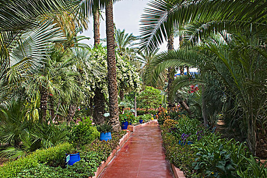 马若雷尔花园,玛拉喀什,摩洛哥,北非,非洲