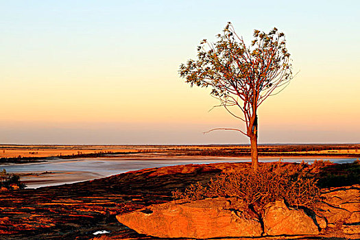 石头,盐,湖,自然,自然保护区,西澳大利亚州