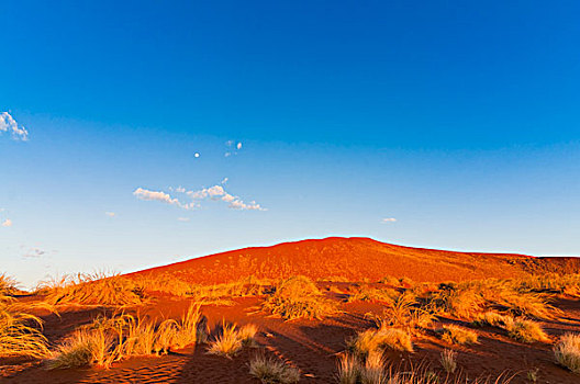 红色,沙丘,月亮,蓝天,索苏维来地区,纳米布沙漠,公园,纳米比亚,非洲