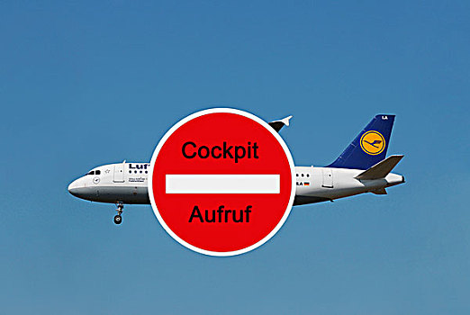 标识,文字,德国,联合,正面,汉莎航空公司