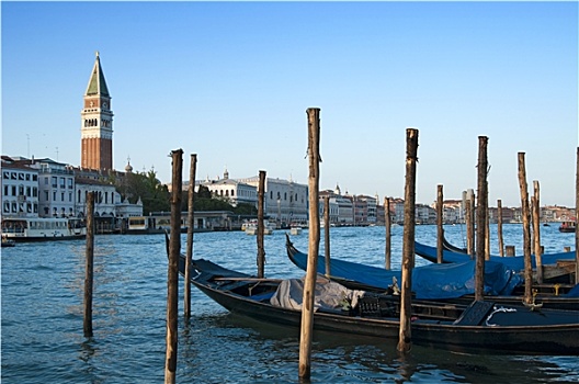 小船,钟楼,威尼斯,意大利