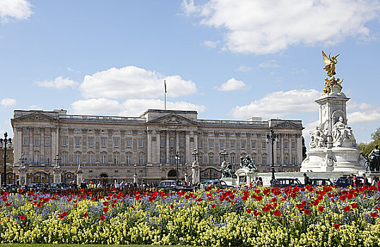 英格兰,伦敦,白金汉宫,维多利亚,纪念,正面,郁金香