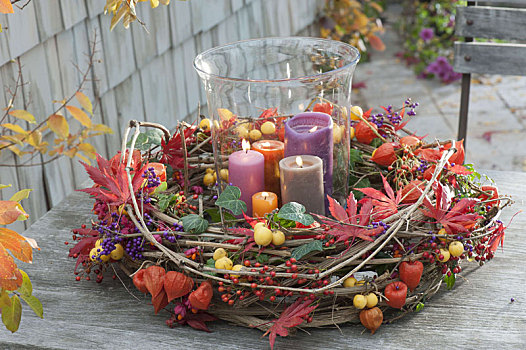 秋季花环,铁线莲,卷须,装饰,枫树,叶子