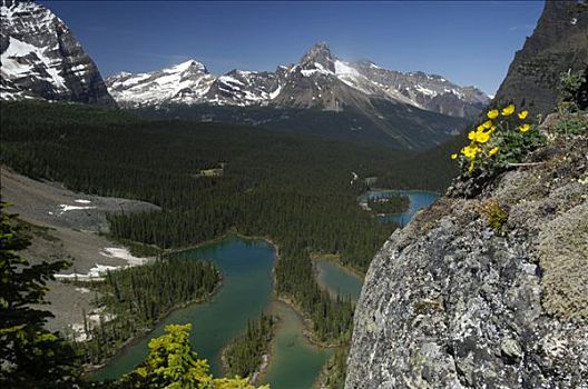 壮观,加拿大,落基山脉,靠近,欧哈拉湖,幽鹤国家公园,不列颠哥伦比亚省