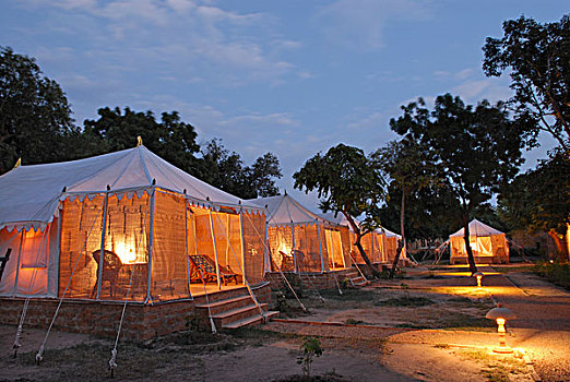帐篷,光亮,室内,皇家,露营,文化遗产,酒店,高兴,花园,靠近,斋沙默尔,塔尔沙漠,拉贾斯坦邦,北印度,印度,亚洲