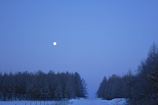 月亮,蓝色,夜空
