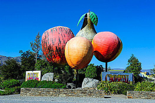 巨大,水果,标识,农场,靠近,皇后镇,南岛,新西兰