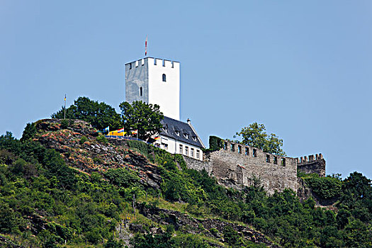 城堡,莱茵河,莱茵河中游,山谷,莱茵兰普法尔茨州,德国,欧洲