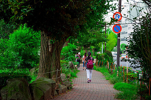 日本东京,上野动物公园环湖步道,散步的行人