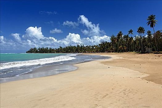 广角,热带沙滩,卢基利奥,波多黎各