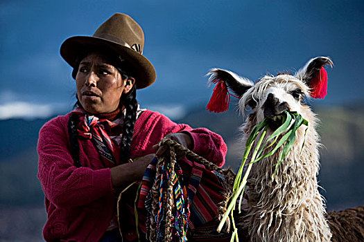 秘鲁人,女人,传统服装,美洲驼,库斯科市,秘鲁