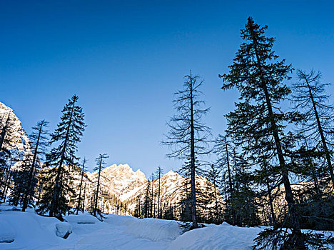 山谷,湖,自然公园,普拉格斯,局部,世界遗产,白云岩,冬天,大雪,意大利,大幅,尺寸