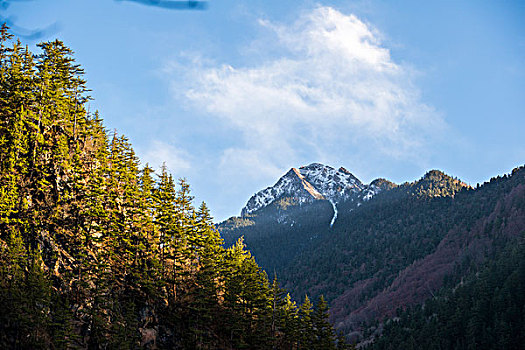 高山雪山