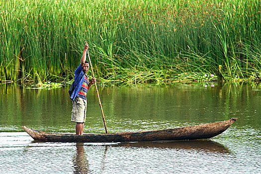 男孩,独木舟,河,马鲁安采特拉,马达加斯加