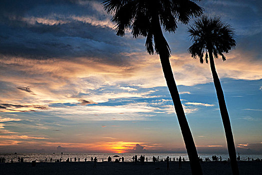 美国,佛罗里达,清澈,海滩,落日,手掌,海洋,浪漫