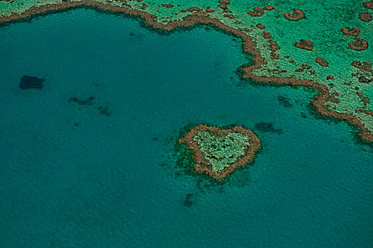 航拍,心形,礁石,大堡礁,世界遗产,昆士兰,澳大利亚,大洋洲