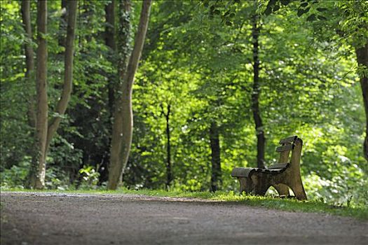 长椅,公园,巴伐利亚,德国