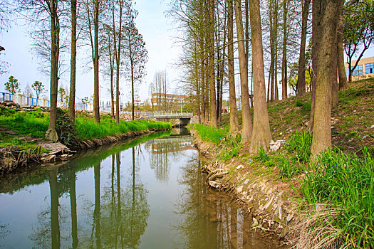 海曙,鄞江镇,小溪江,水环境治理,公园,河道