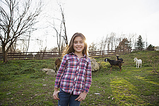 孩子,女孩,山羊,围场,围挡,动物