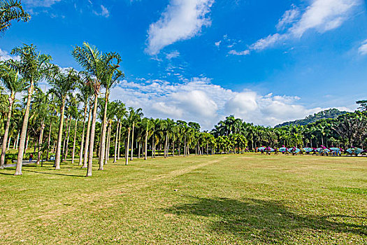 莲花山公园