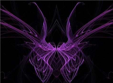 紫色,不规则图形,蝴蝶,翼,黑色背景,背景
