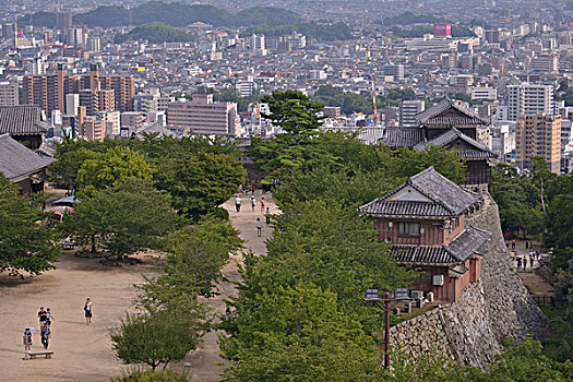 斑点,松山市,城堡,日本