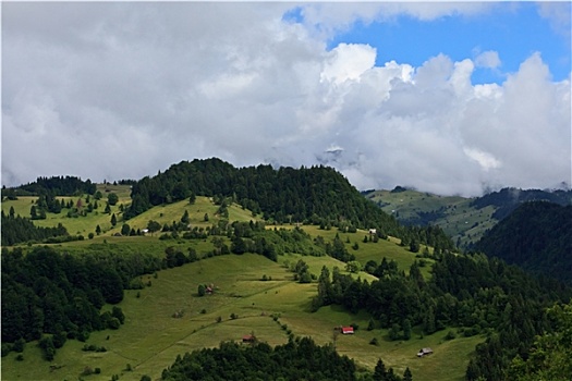 绿色,山