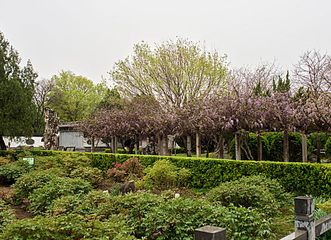 山东省潍坊市青州古城