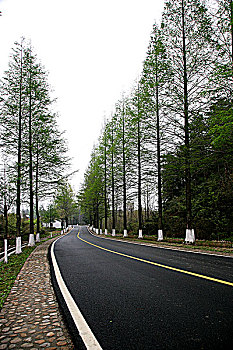 安徽黟县三棵树公路