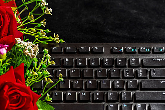 玫瑰花和电脑键盘