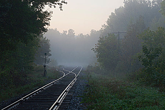 轨道,早晨,薄雾,魁北克,加拿大