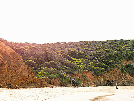 风景,悬崖,海滩,国家公园,澳大利亚