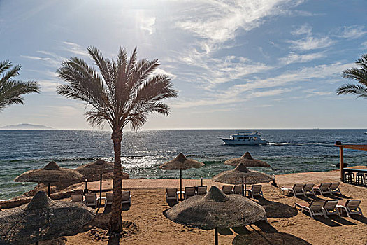 海滩,豪华酒店,埃及