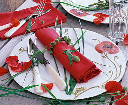 餐巾环,罂粟属,种子,红色,餐巾